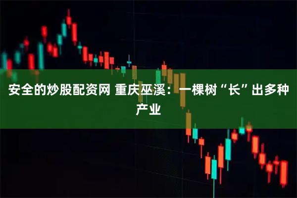 安全的炒股配资网 重庆巫溪：一棵树“长”出多种产业